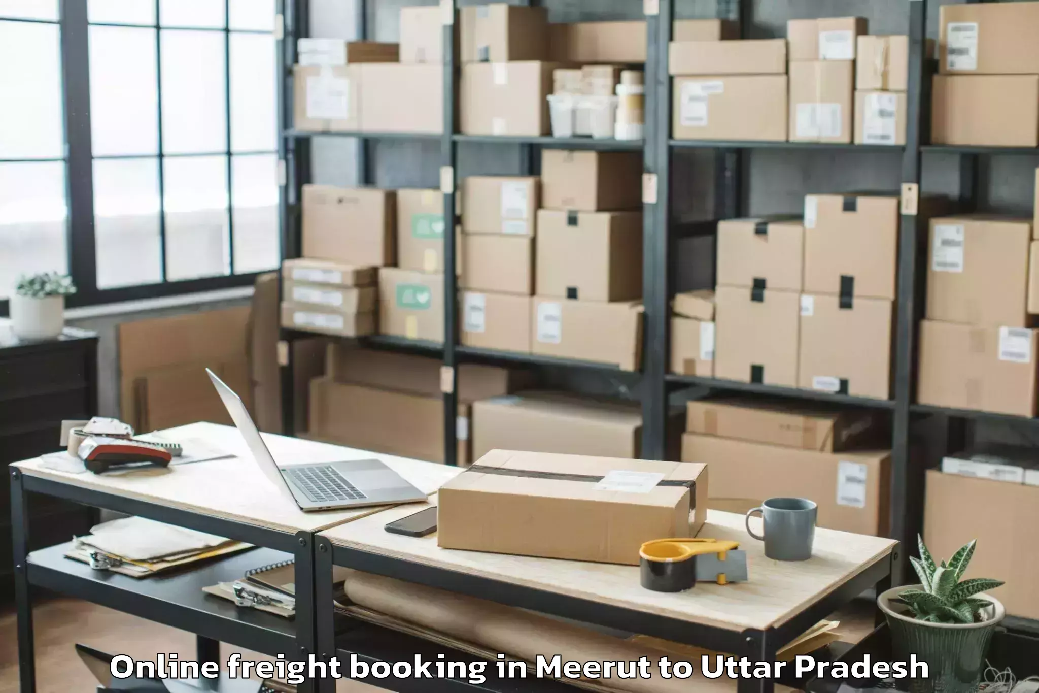 Expert Meerut to Nichlaul Online Freight Booking